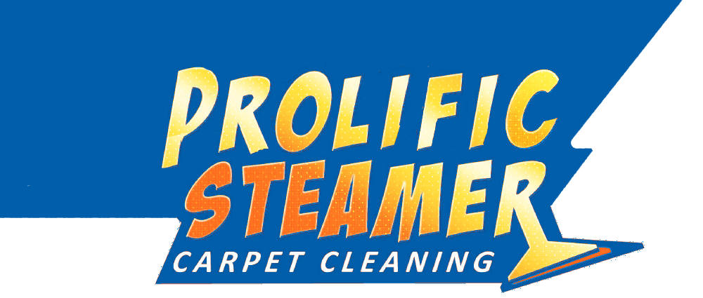 Carpet cleaning Silver Spring